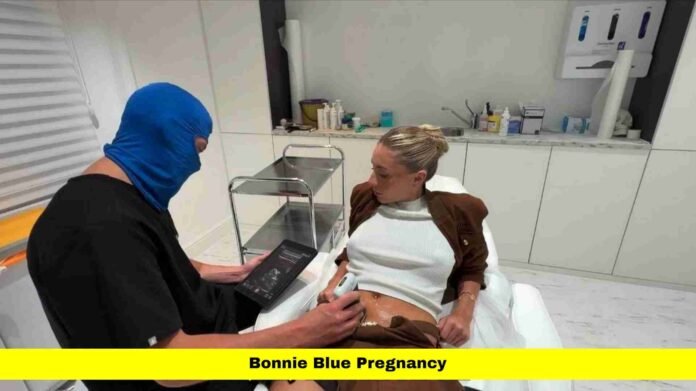 Bonnie Blue Pregnancy Bonnie Blue Pregnancy