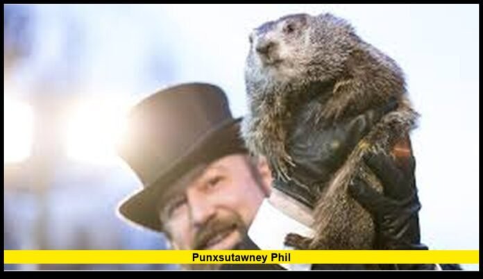 Groundhog Day Tradition Takes Center Stage in Pennsylvania