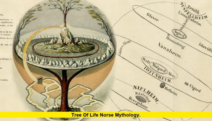 Tree of Life Norse Mythology