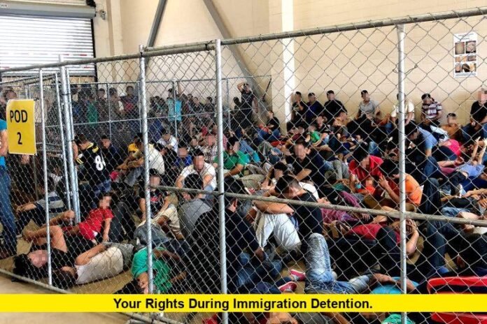 Your Rights During Immigration Detention