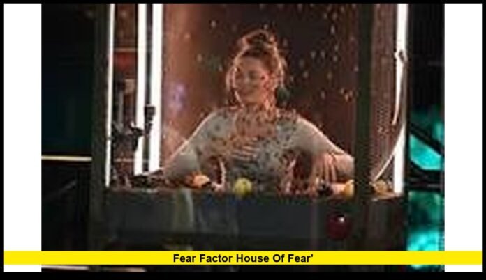 Fear factor house of fear