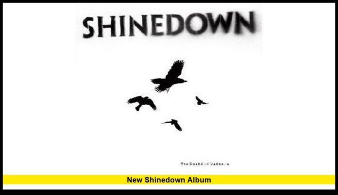 new shinedown album
