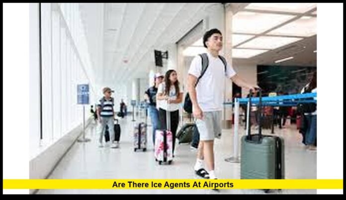 2026 Guide to Their Role, Presence, and What Travelers Should Know