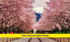 Cherry Blossom Festival Parking Cherry Blossom Festival Parking