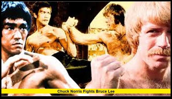Chuck Norris Fights Bruce Lee Separating Film History From Real-Life Myth in 2026