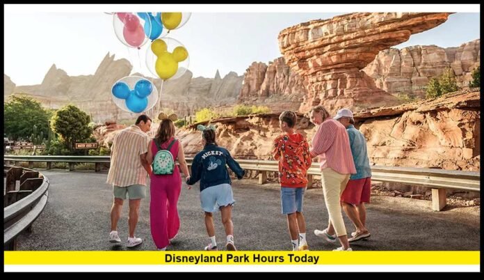 Updated Opening Times, Closing Schedule, and Planning Tips for Visitors