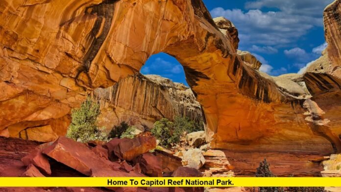 Home to Capitol Reef National Park