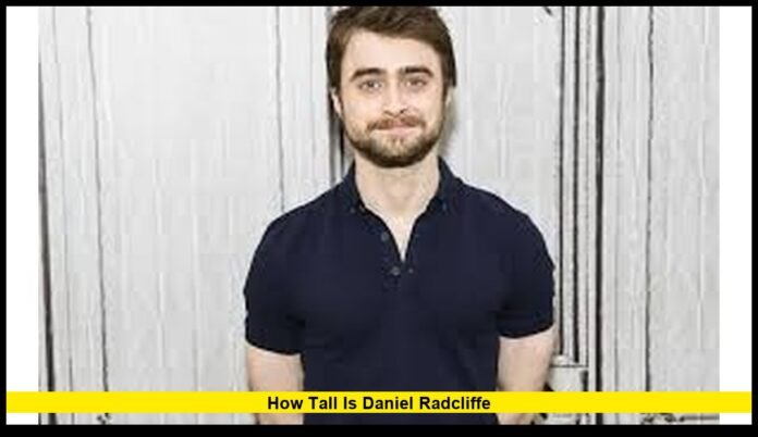 The Exact Height of the Harry Potter Star in 2026