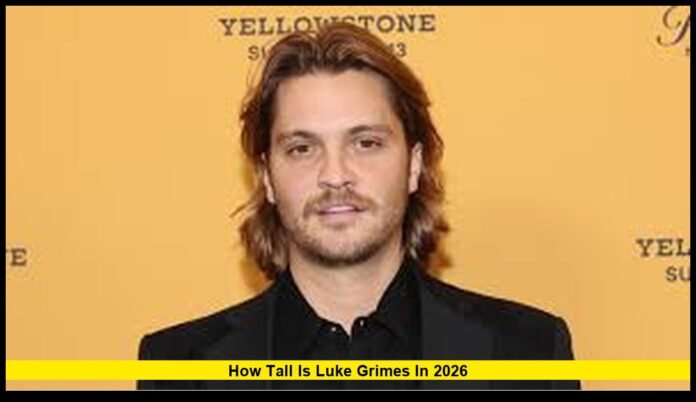 A Detailed Look at the Yellowstone Star’s Height in 2026