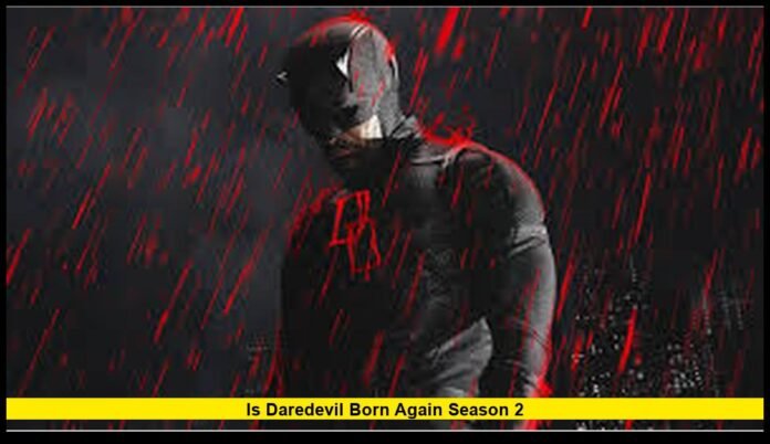 What to Know About the Release Schedule, Episode Strategy, and Streaming Plan