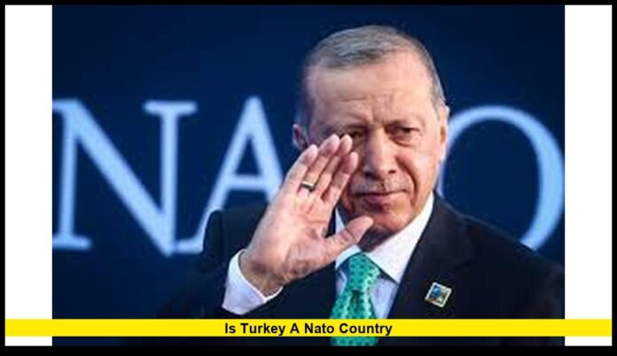 Current Status, Role, and Strategic Importance in 2026