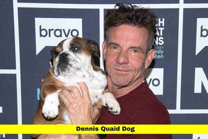Dennis Quaid Dog