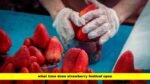 what time does strawberry festival open