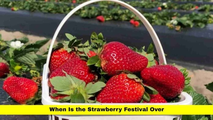 When Is the Strawberry Festival Over
