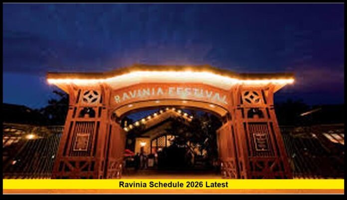 What Concertgoers Should Know About the Upcoming Summer Festival Season