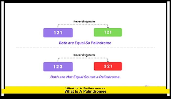 Understanding the Symmetrical Word and Number Pattern