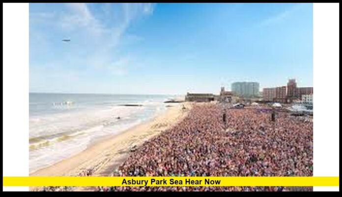 asbury park sea hear now