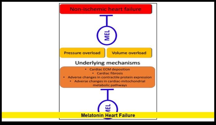 melatonin heart failure