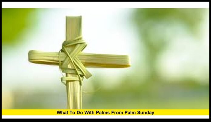 what to do with palms from palm sunday
