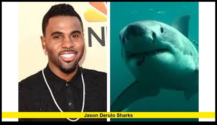 How the Viral Baby Shark Remix Became a Global Pop Culture Moment