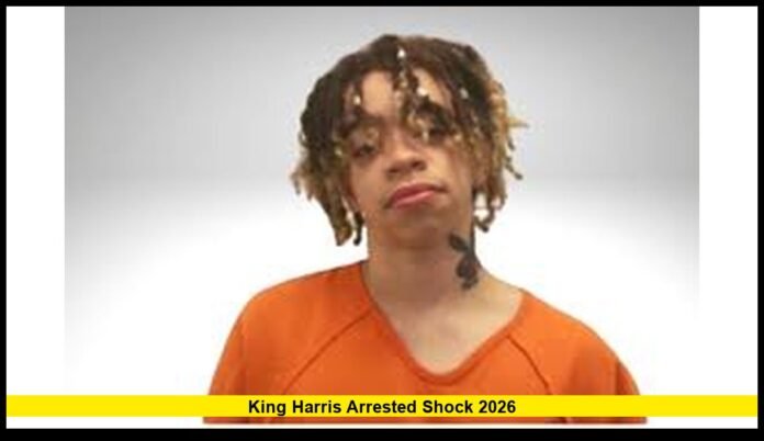 Online as Truth Behind Harris Headlines Comes Into Focus