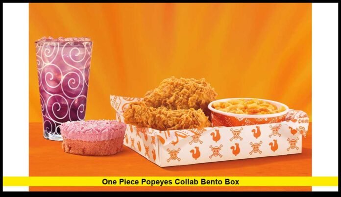 Latest Release Details, What’s Included, and Why Fans Are Excited