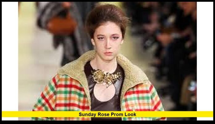 Full Breakdown of Her Formal Appearance and Style Impact