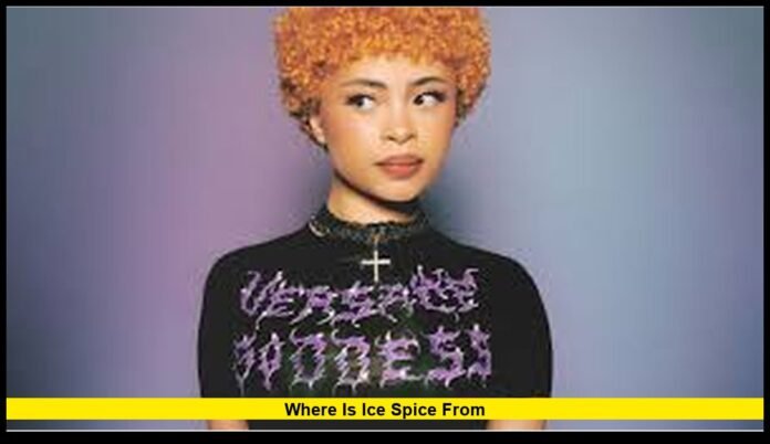 Her Real Roots, Background, and Rise to Fame in 2026