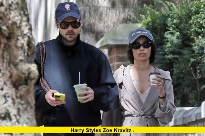 harry styles zoe kravitz