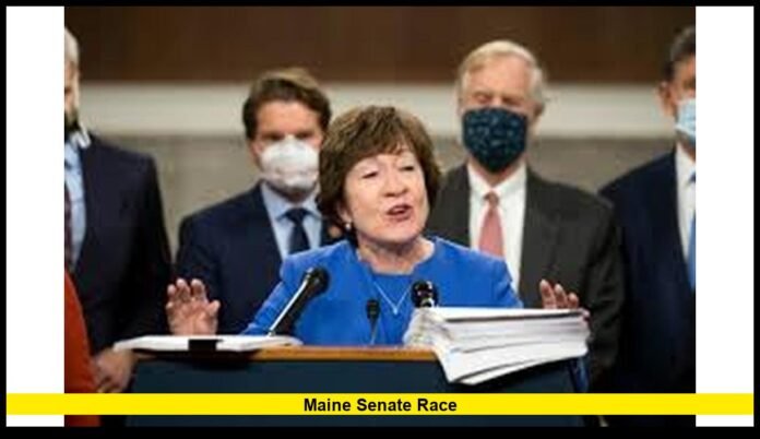 maine senate race