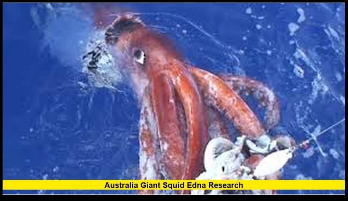 Uncovers Rare Deep-Sea Secrets Hidden Beneath Indian Ocean Waters