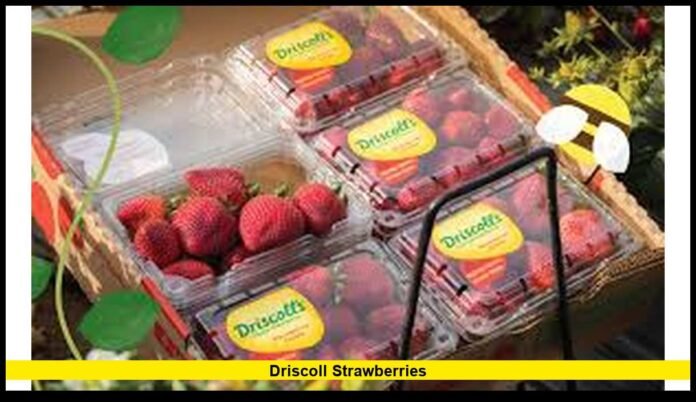 Spark National Conversation as Consumers Question Pesticides, Organic Farming, and Berry Industry Practices