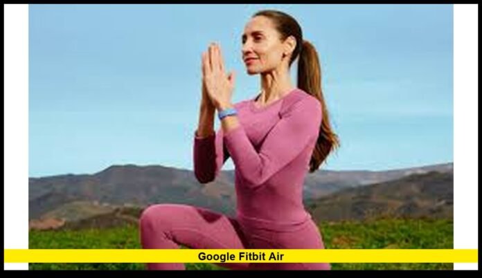 Google Fitbit Air