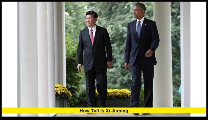 The Chinese President’s Height, Public Image, and Global Influence Explained