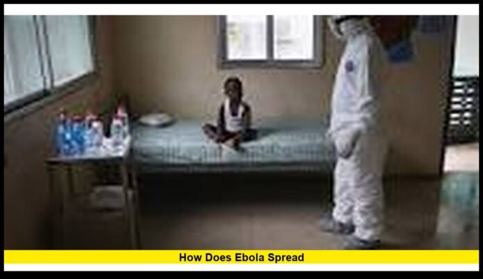 How does Ebola spread