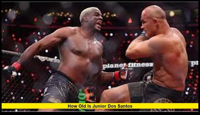 How old is junior dos santos