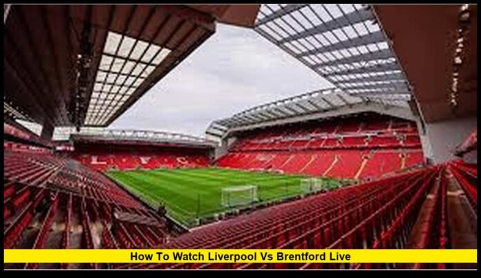 How to Watch Liverpool vs Brentford Live as Premier League Final-Day Stakes Reach Fever Pitch