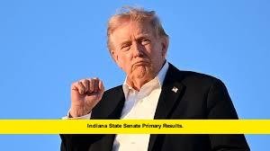Indiana State Senate Primary Results