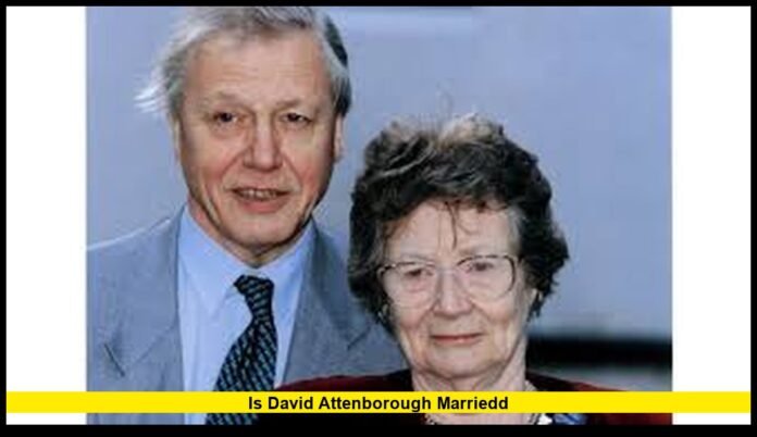 Is David Attenborough Married? The Untold Story of His Wife, Family, Career Legacy, and Life Today