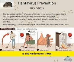 Is the Hantavirus in Texas