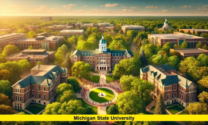 Michigan State University Michigan State University