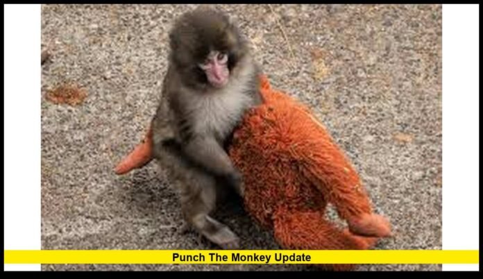 Punch the monkey update Punch the monkey update
