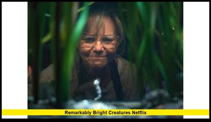 Remarkably Bright Creatures Netflix