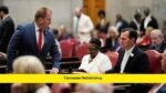 Tennessee Redistricting