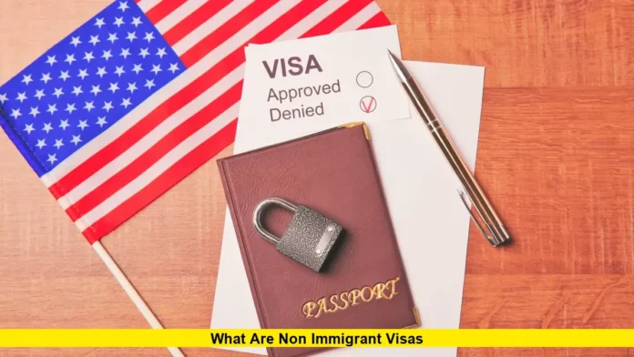What Are Non Immigrant Visas What Are Non Immigrant Visas