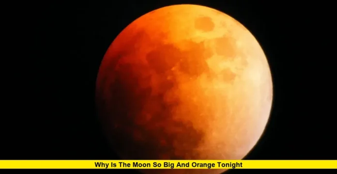 Why Is the Moon So Big and Orange Tonight