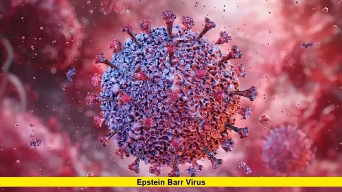 Epstein Barr virus Epstein Barr virus