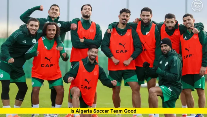 Is Algeria Soccer Team Good