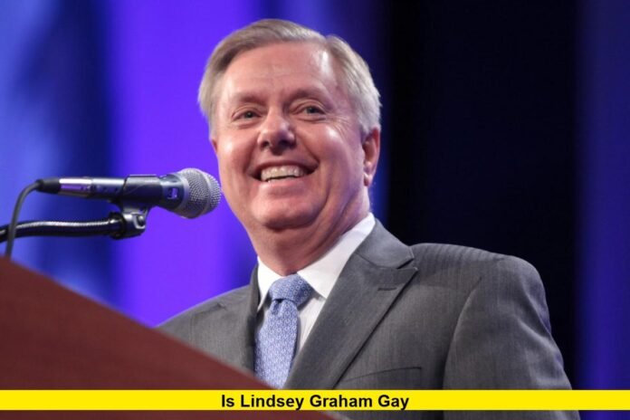 Is Lindsey Graham Gay Is Lindsey Graham Gay
