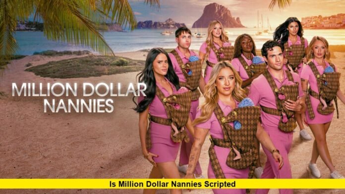Is Million Dollar Nannies Scripted Is Million Dollar Nannies Scripted